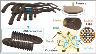 Polyaniline-nanospines engineered nanofibrous membrane based piezoresistive sensor for high-performance electronic skins